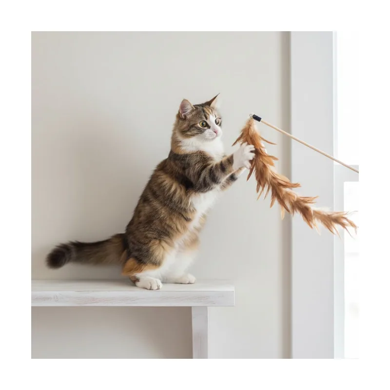 Tootoy! Caña Interactiva con Plumas para gatos