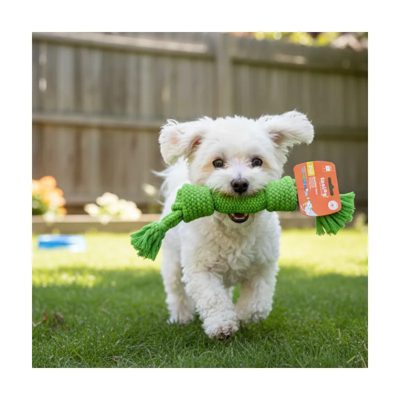 Tootoy! Hueso Mordedor de Cuerda Verde para perros