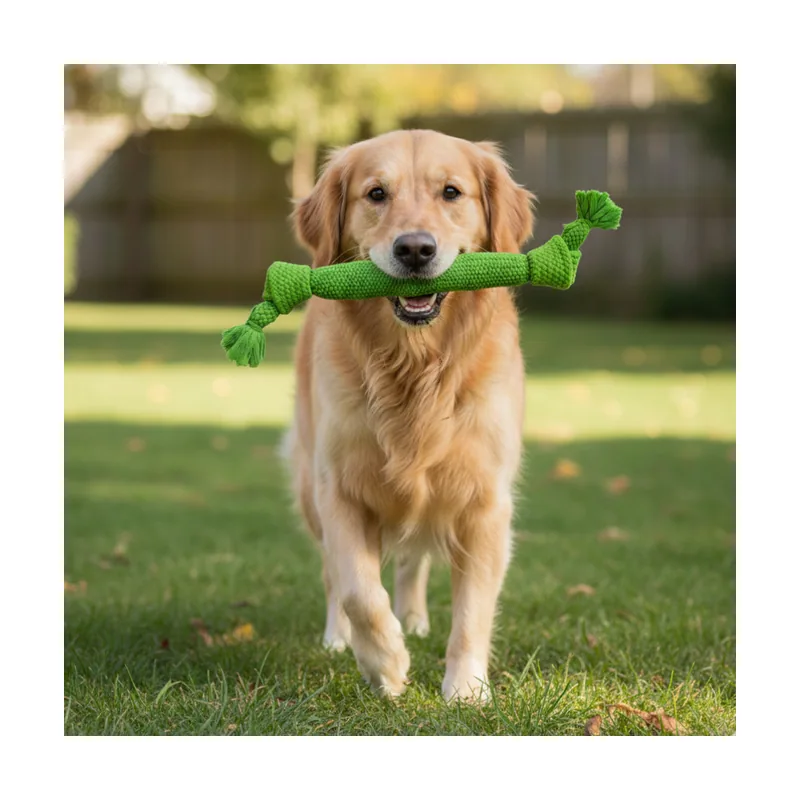 Tootoy! Hueso Mordedor de Cuerda Verde para perros