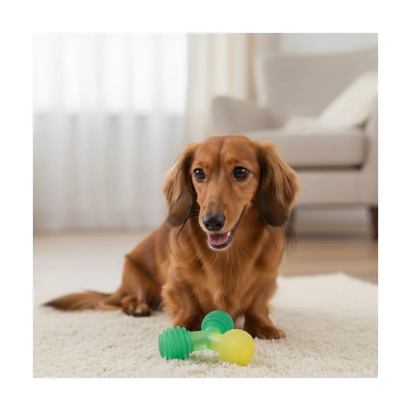 Tootoy! Mordedor de Pelotas en Triángulo Verde para perros