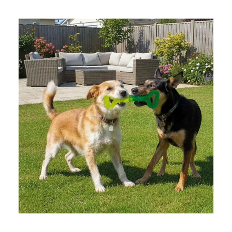 Tootoy! Mordedor Grill and Pull Verde para perros