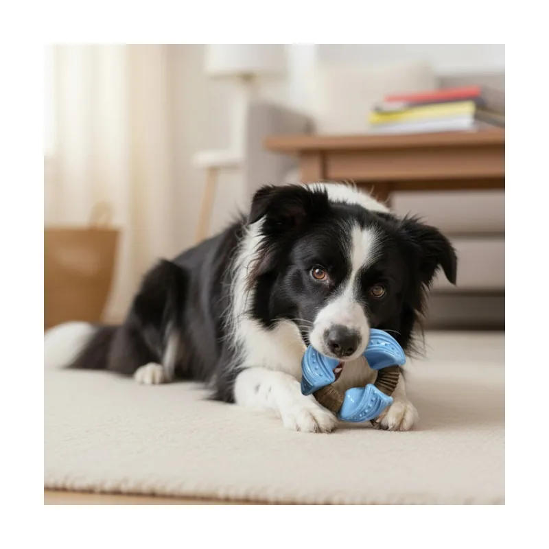 Tootoy! Anillo Mordedor Dental Azul y Marrón para perros