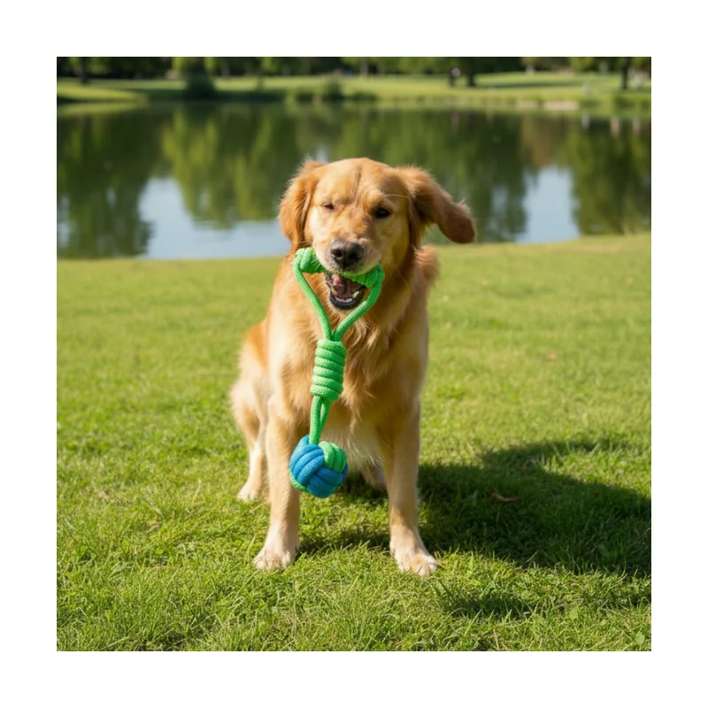 Tootoy! Modedor para Tirar de Cuerda con Pelota Verde y Azul para perros
