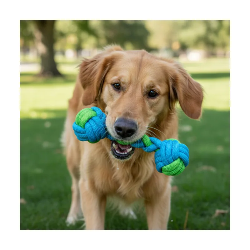 Tootoy! Hueso Mordedor de Cuerda Verde y Azul para perros