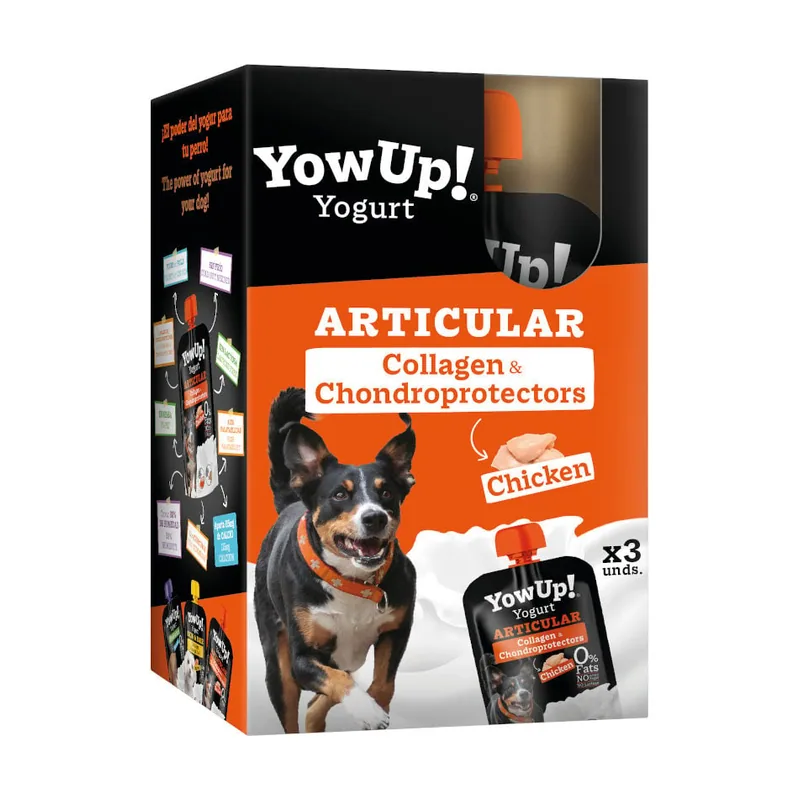 Yowup 115 g Articular Pollo yogur