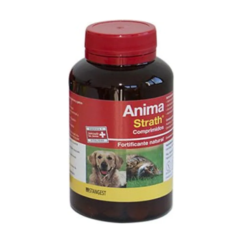 Stangest Anima Strath Suplemento 240 Cpd